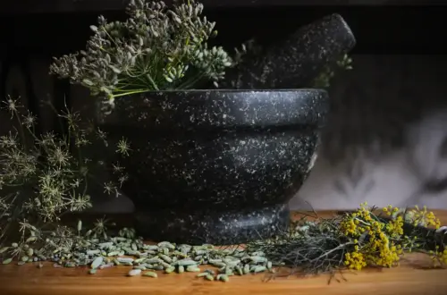 Ancient Fumigation: Protection & Uncrossing with Fennel