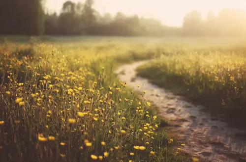 The Spring Equinox: Old World Traditions & Ancestral Knowledge