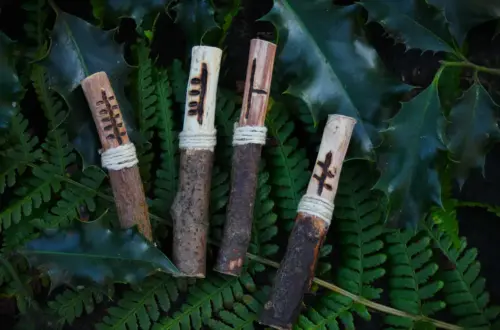 The Celtic Ogham: Ancestral Tree Alphabet & Divination